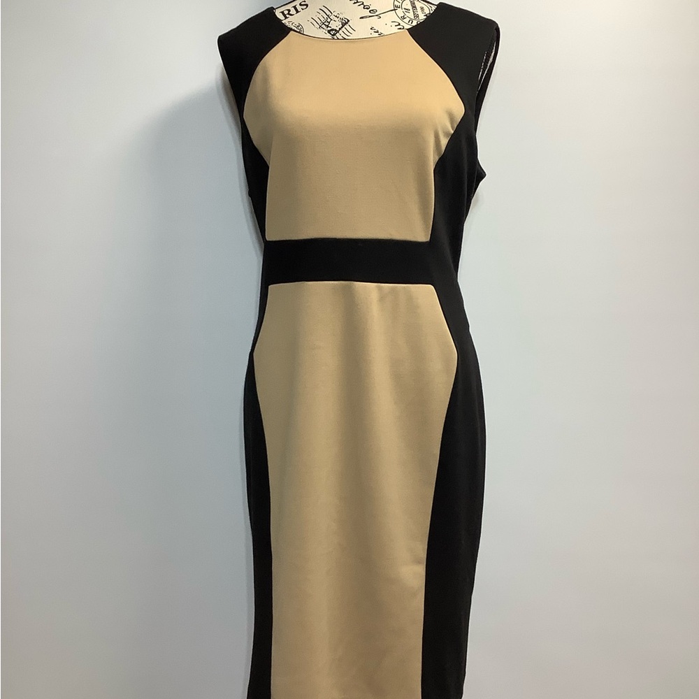 Elegant Black and Tan Sleeveless Dress